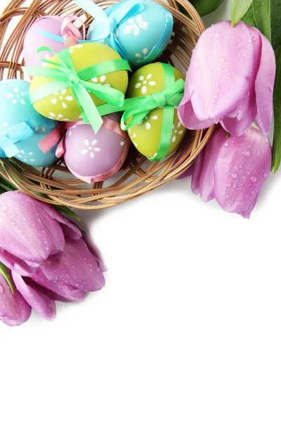 Bright easter eggs in basket and tulips, isolated on white Stock Picture