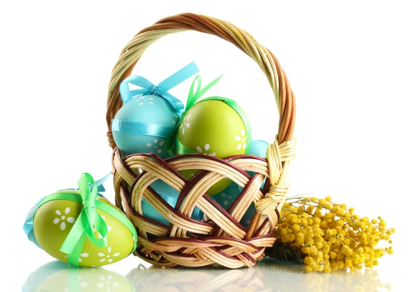 Huevos de Pascua en cesta y flores de mimosa, aislados en blanco —  Fotos de Stock