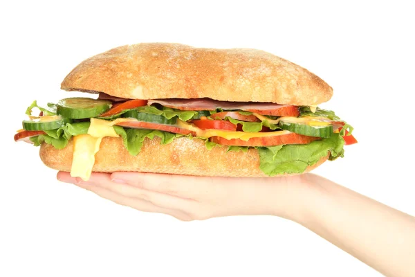 Frisches und schmackhaftes Sandwich mit Schinken und Gemüse in den Händen isoliert auf weiß — Stockfoto