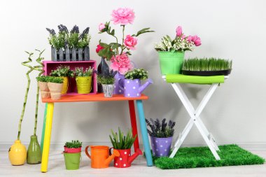 Odada dekoratif elemanları ile güzel renkli raflar