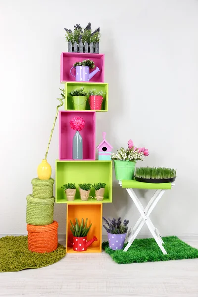 Colorful shelves with decorative elements and plants standing in room — Stock Photo, Image