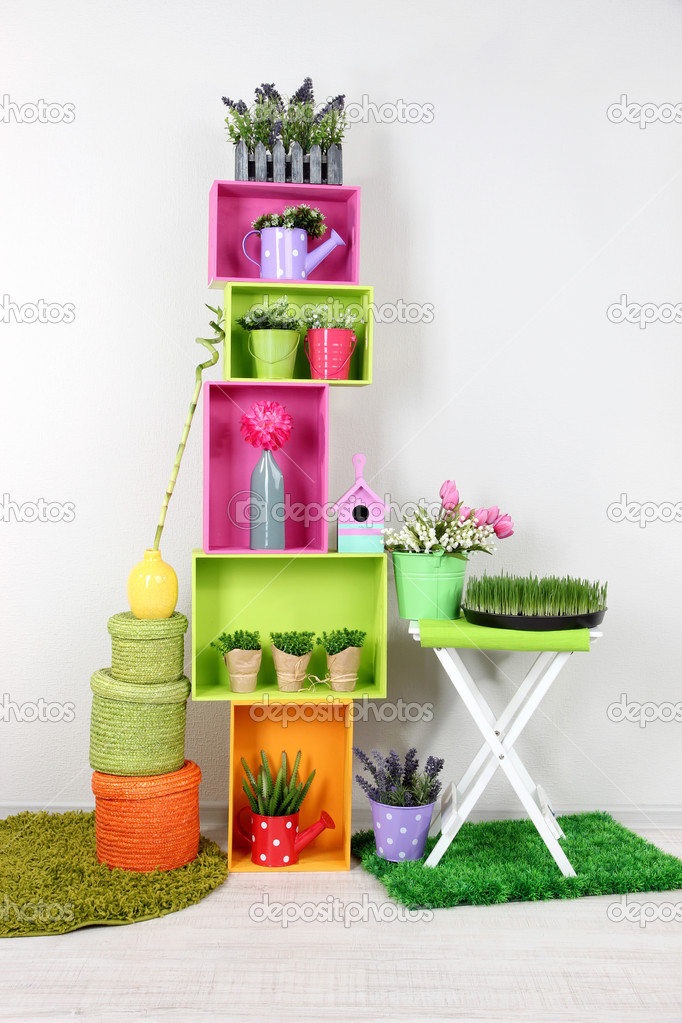Colorful shelves with decorative elements and plants standing in room