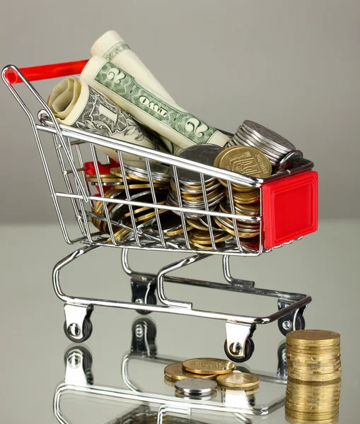 Money in cart on grey background — Stock Photo, Image