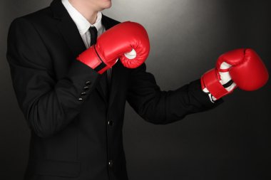 Boks eldivenleri gri arka plan üzerinde işadamı