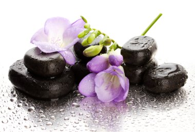 Spa taşlar ve üzerinde beyaz izole mor çiçek