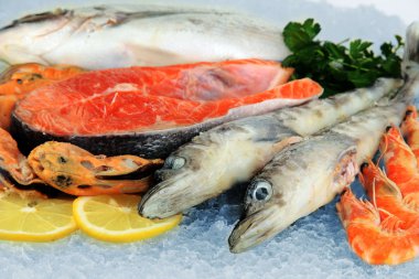 buz üstünde taze deniz ürünleri