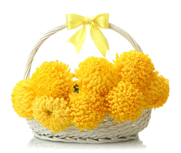 Bright yellow chrysanthemums in basket, isolated on white — Stock Photo, Image