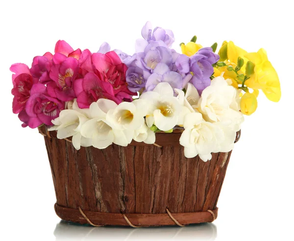 Beautiful bouquet of freesias in basket, isolated on white — Stock Photo, Image