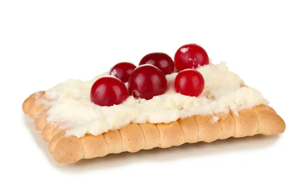 치즈와 흰색 절연 크랜베리 쿠키 — 스톡 사진