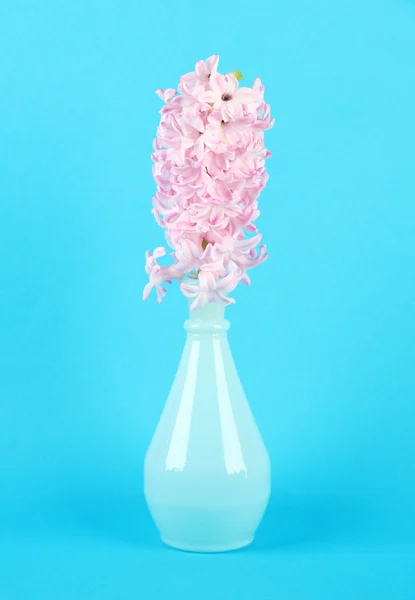 Mooie hyacint in vaas, op een achtergrond met kleur — Stockfoto