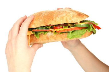 jambon ve sebzeler üzerinde beyaz izole elinde taze ve lezzetli sandviç