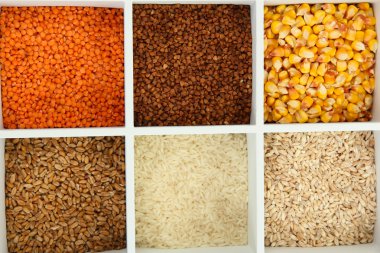 Beyaz ahşap kutu içinde tahıl çeşitleri yakın çekim