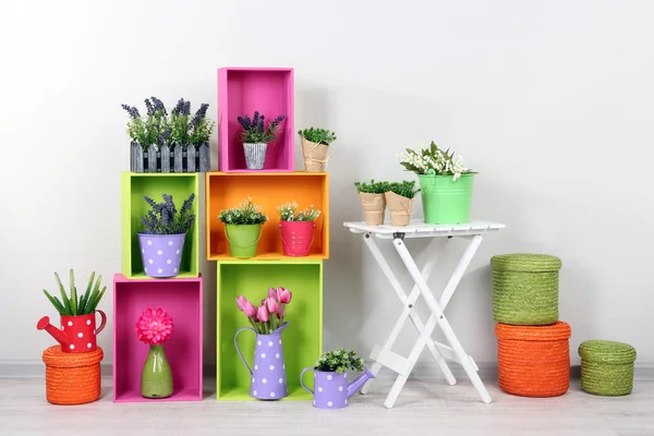 Beautiful colorful shelves with decorative elements standing in room — Stock Photo, Image