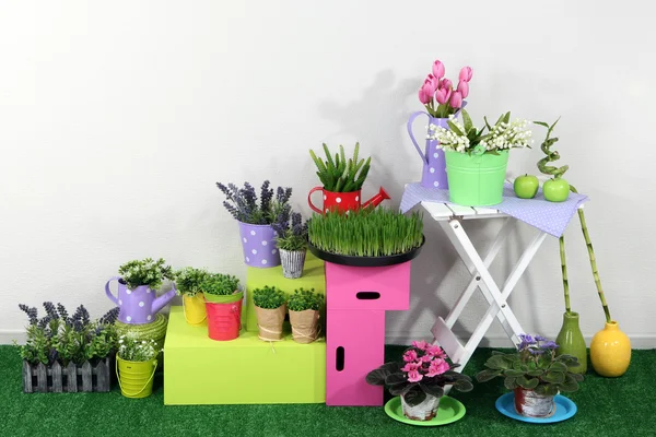 Tablettes colorées et table avec des éléments décoratifs debout sur l'herbe — Photo