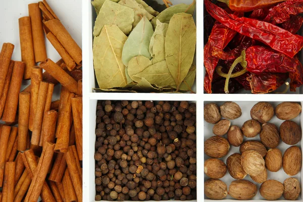 Assortment of aroma spices in white wooden box close up — Stock Photo, Image