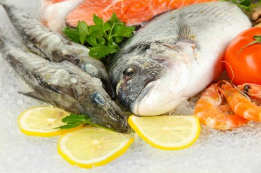 buz üstünde taze deniz ürünleri