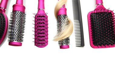 tarak fırça saçlı, beyaz izole