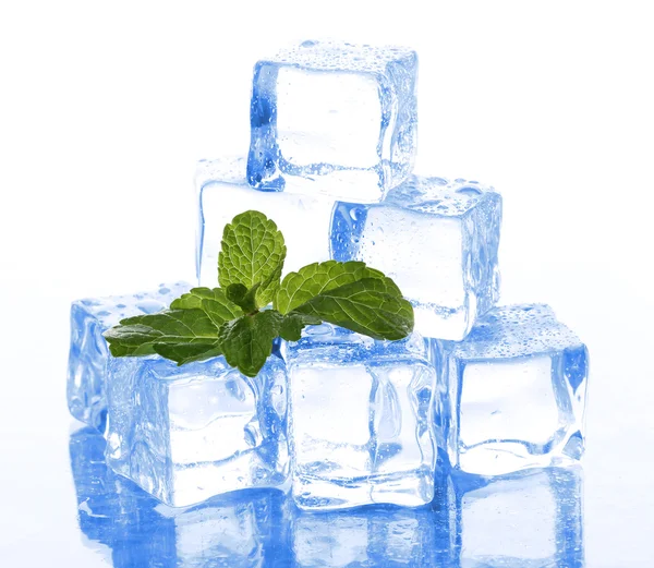 Ice with mint on light background — Stock Photo, Image