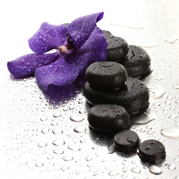 Piedras de spa y flor púrpura, sobre fondo húmedo — Foto de Stock