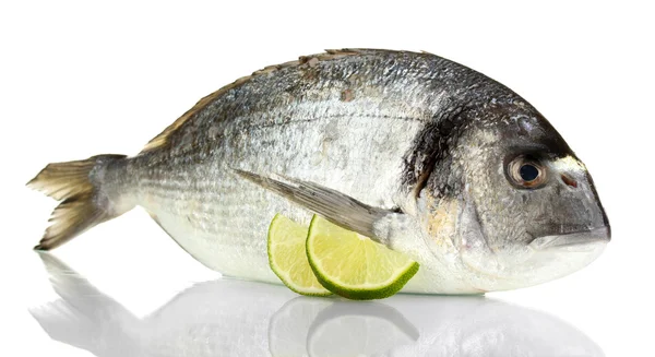 Dorado vis met citroen geïsoleerd op wit — Stockfoto