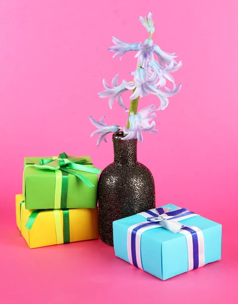 美丽的风信子花瓶和漂亮的礼品，颜色背景上 — 图库照片