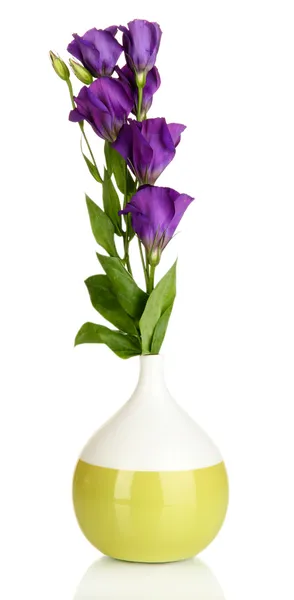 Ramo de flores de eustoma en jarrón aislado en blanco — Foto de Stock