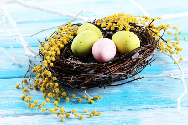 Velikonoční vejce v hnízdě a mimózy květy, na modré dřevěné pozadí — Stock fotografie