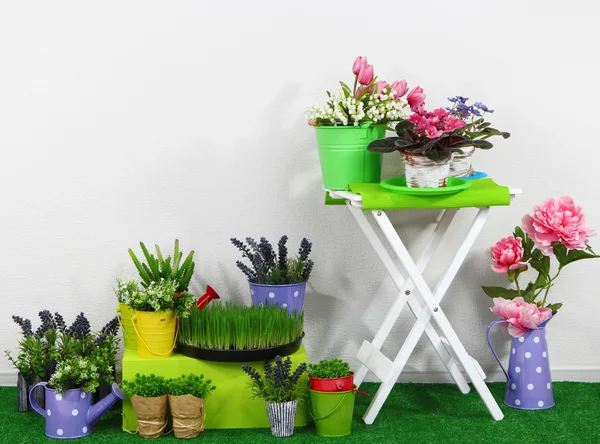 Färg låda och bord med dekorativa element och blommor står på gräs — Stockfoto
