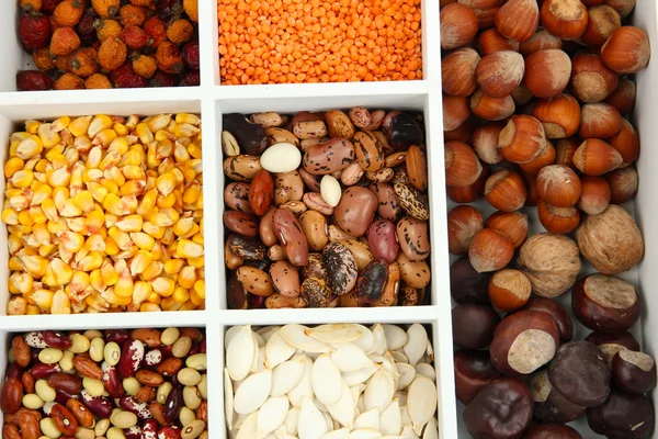 Assortment of chestnut,beans — Stock Photo, Image