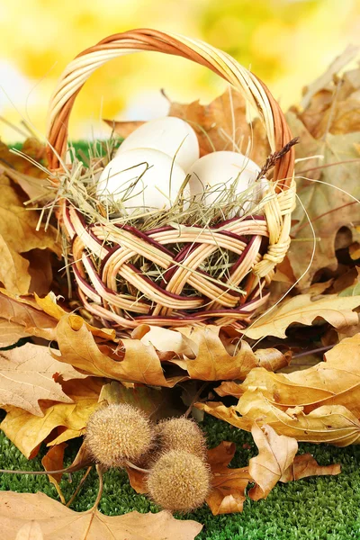 Ovos de Páscoa em cesta de vime escondidos nas folhas — Fotografia de Stock