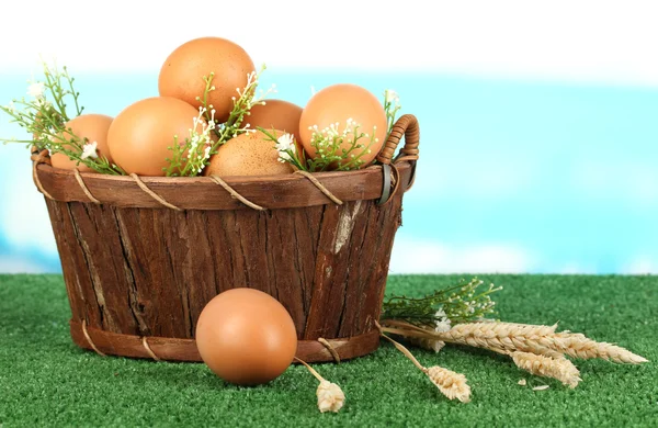 Uova in cesto su erba su sfondo blu naturale — Foto Stock