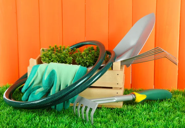 Tuingereedschap op gras in de tuin — Stockfoto