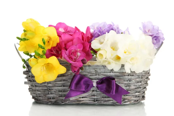 Bellissimo bouquet di fresie in cesto, isolato su bianco — Foto Stock