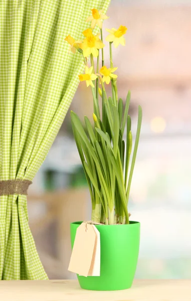 Lindos narcisos amarelos em vaso de flores no fundo da janela — Fotografia de Stock