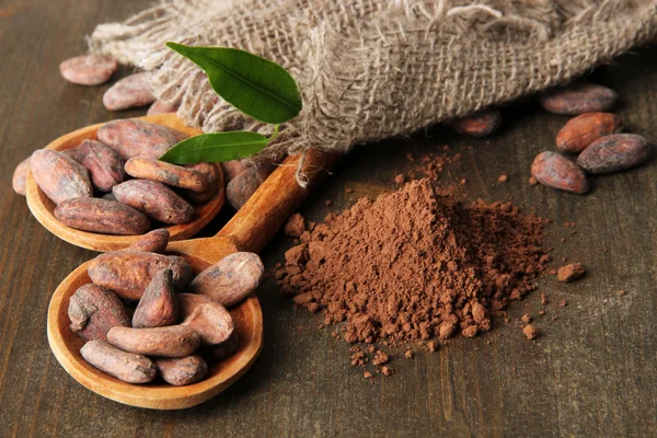 Cocoa beans in spoons and cocoa powder on wooden background — Stock Photo, Image