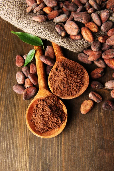 Cocoa powder in spoons and cocoa beans on wooden background — Stock Photo, Image