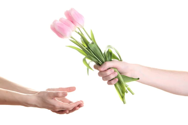 Επανδρώνει χέρι, δίνοντας το χέρι της γυναίκας ένα λουλούδι μπουκέτο με τουλίπες, απομονωμένα σε λευκό — Φωτογραφία Αρχείου