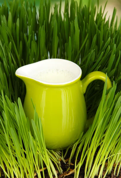 Džbán mléka stojící na trávě zblízka — Stock fotografie