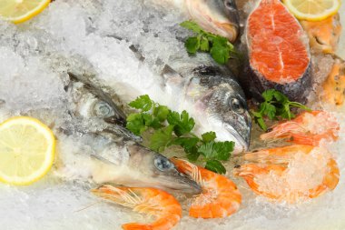 buz üstünde taze deniz ürünleri