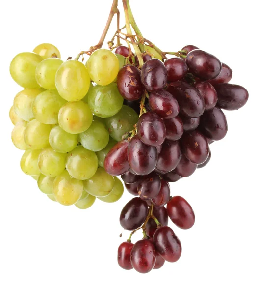 Delicious ripe two bunches of grapes isolated on white — Stock Photo, Image