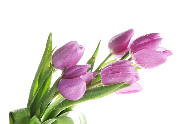 Hermoso ramo de tulipanes morados, aislado en blanco —  Fotos de Stock