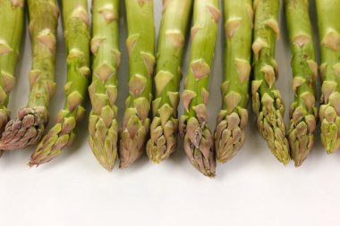 taze kuşkonmaz Whit üzerinde izole