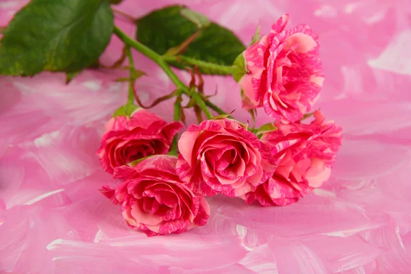 Mooie roze rozen close-up, op een achtergrond met kleur — Stockfoto