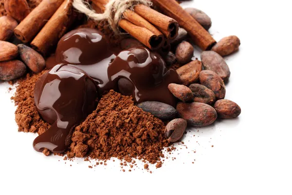 Samenstelling van chocolade snoepjes, cacao en specerijen, geïsoleerd op wit — Stockfoto