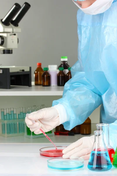 Scientist conducting research in laboratory close up — Stock Photo, Image