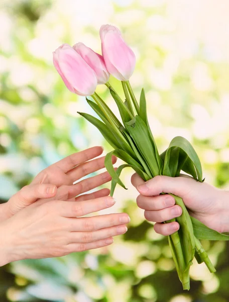 Mans hand giving woman's hand a flower bouquet with tulips, on green background — Stock Photo, Image