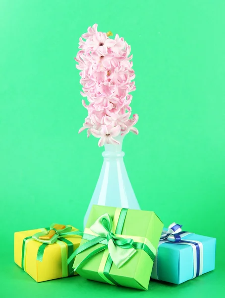 Belo jacinto em vaso e belos presentes, em fundo de cor — Fotografia de Stock