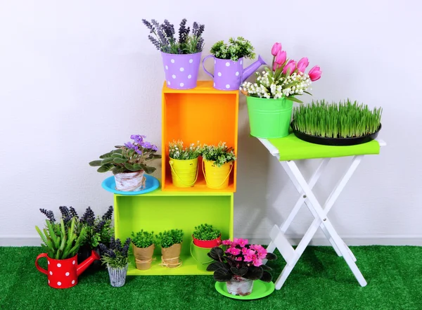 Beautiful colorful shelves and table with decorative elements standing on grass — Stock Photo, Image