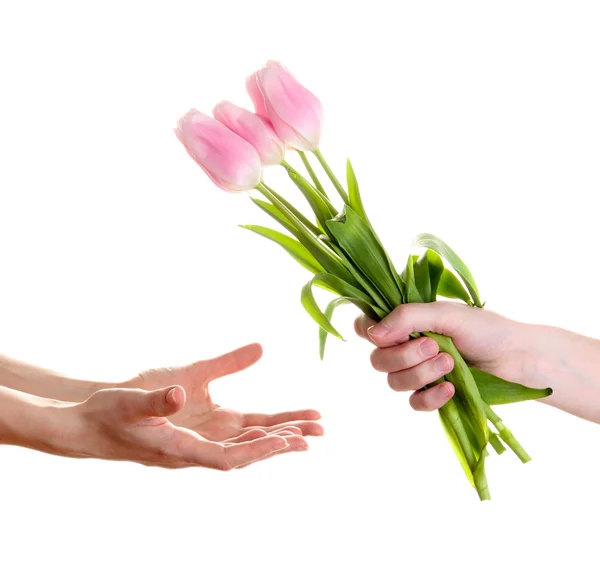 Mans hand giving woman's hand a flower bouquet with tulips, isolated on white — Stock Photo, Image