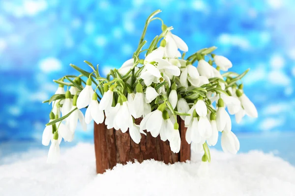 Strauß Schneeglöckchen in der Vase mit Schnee, auf hellem Hintergrund — Stockfoto